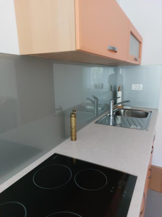 Apartma Sava-Stol Jesenice Exterior photo